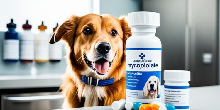 mycophenolate for dogs