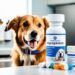 mycophenolate for dogs