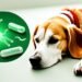 prednisone for dogs