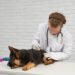 Clindamycin Dosage for Dogs