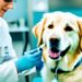 adenovirus vaccine for dogs