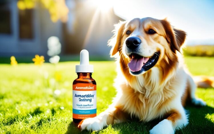 amantadine for dogs