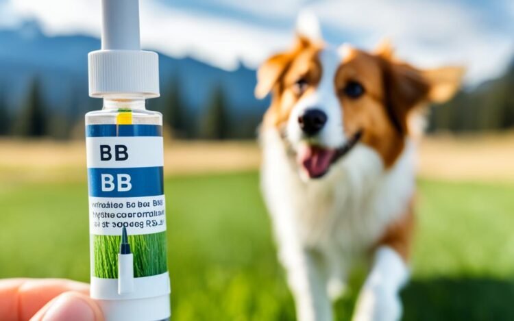 bbb vaccine for dogs