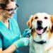 booster vaccine for dogs