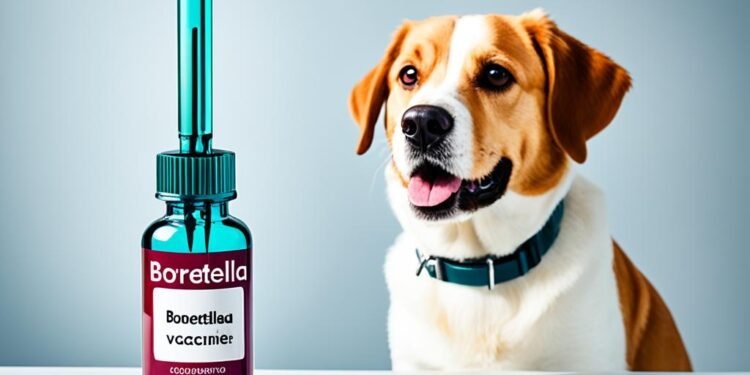 bordetella vaccine for dogs