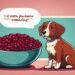 cranberry supplement for dogs