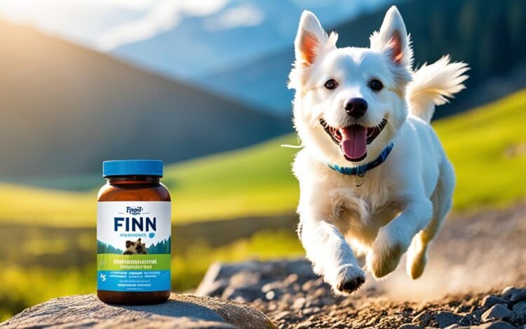 finn dog supplements