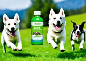 hip and joint supplements for dogs