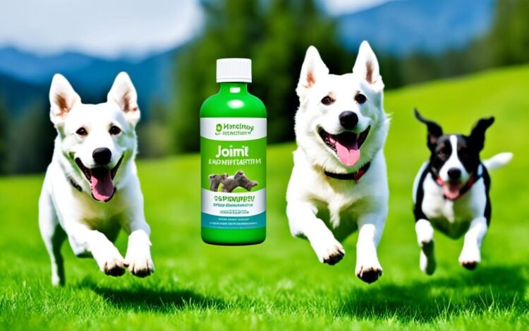 hip and joint supplements for dogs