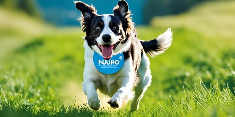 nupro dog supplement