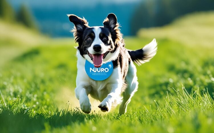 nupro dog supplement