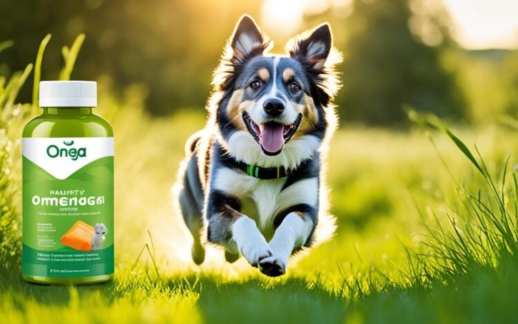 omega 3 supplement for dogs