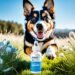 parainfluenza vaccine for dogs