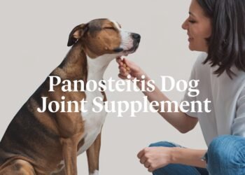 Panosteitis Dog Joint Supplement