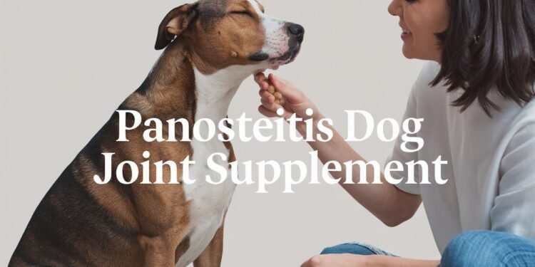 Panosteitis Dog Joint Supplement