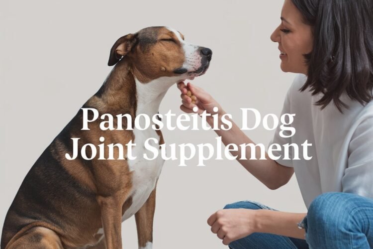 Panosteitis Dog Joint Supplement