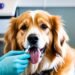 vaccine for dog fleas