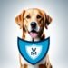 vanguard vaccine for dogs