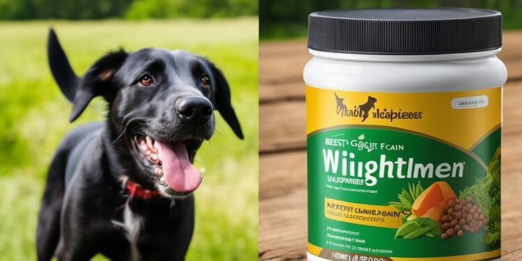weight gain supplements for dogs
