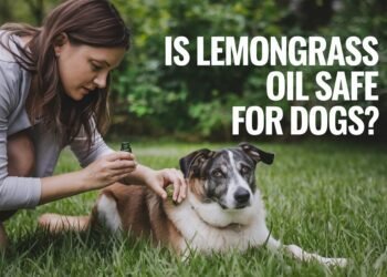 Is lemongrass oil safe for dogs