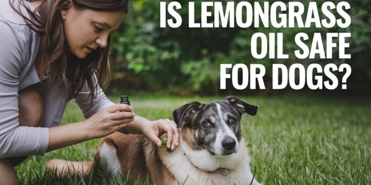 Is lemongrass oil safe for dogs