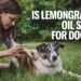 Is lemongrass oil safe for dogs