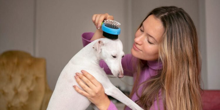 petarmor plus for dogs