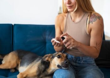 clavacillin for dogs