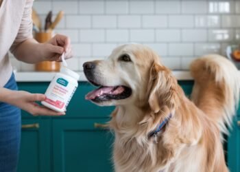 Azodyl for dogs