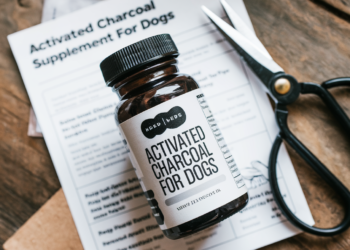 Activated Charcoal for Dog