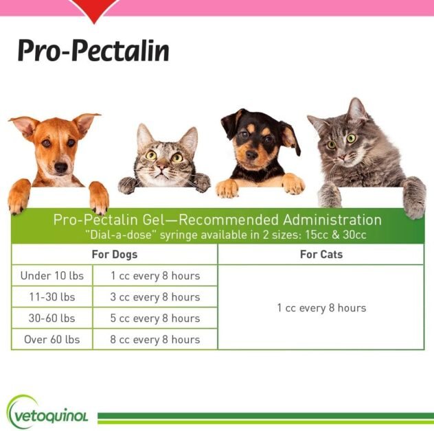 Vetoquinol Pro-Pectalin dosage chart