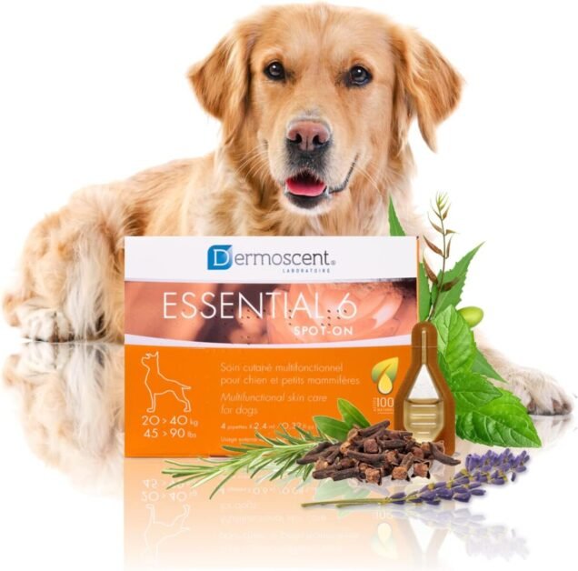 Dermoscent for dogs