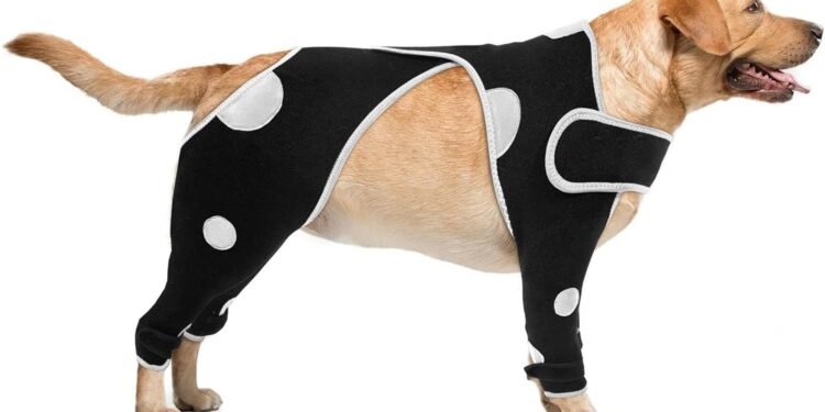 Lick Sleeve for Dogs