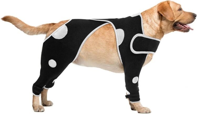 Lick Sleeve for Dogs