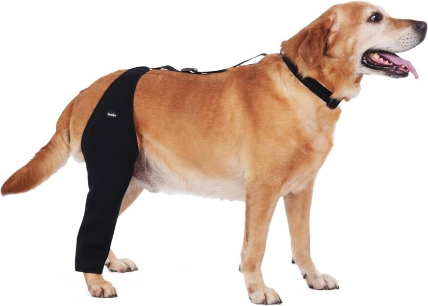 Lick Sleeve for Dogs