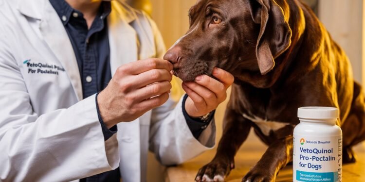 Vetoquinol Pro-Pectalin for dogs