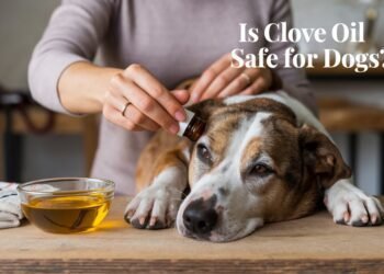 is Clove Oil safe for Dogs