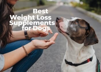 Best Weight Loss Supplements for Dogs