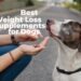 Best Weight Loss Supplements for Dogs