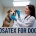 Posatex for dogs