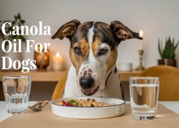 Canola Oil for dogs