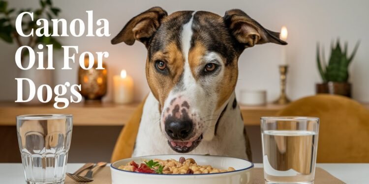 Canola Oil for dogs