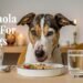 Canola Oil for dogs