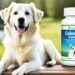 colostrum supplement for dogs