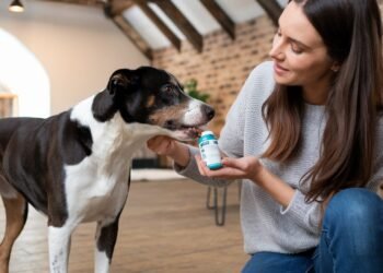 Dog Electrolyte Supplements