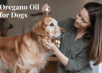 oregano oil for dogs