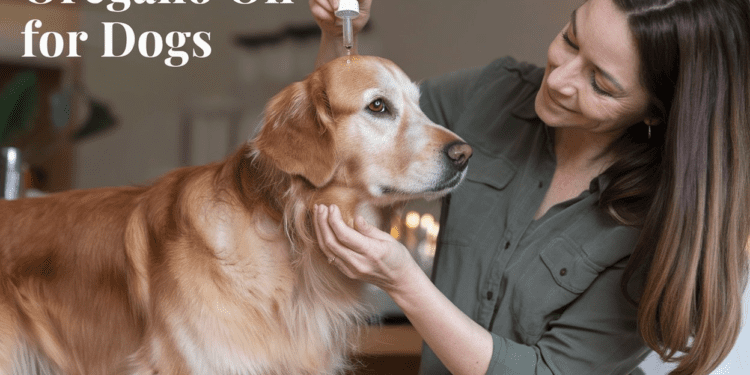 oregano oil for dogs