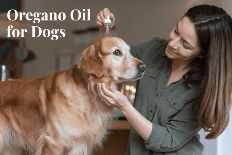 oregano oil for dogs