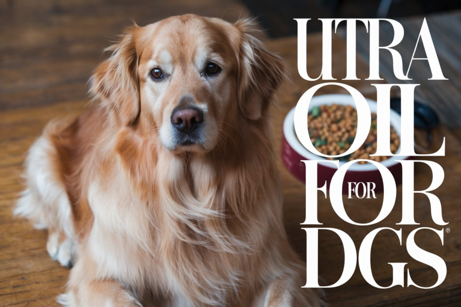 Ultra Oil for Dogs