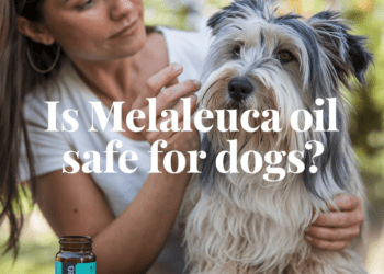 is melaleuca oil safe for dogs